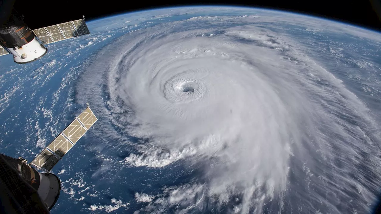 Tormenta tropical 'Norma' cambia de ciclón a huracán: esta es su trayectoria en vivo