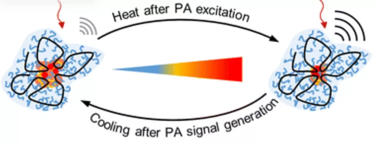 Scientists develop novel nanoparticles that could serve as contrast agents