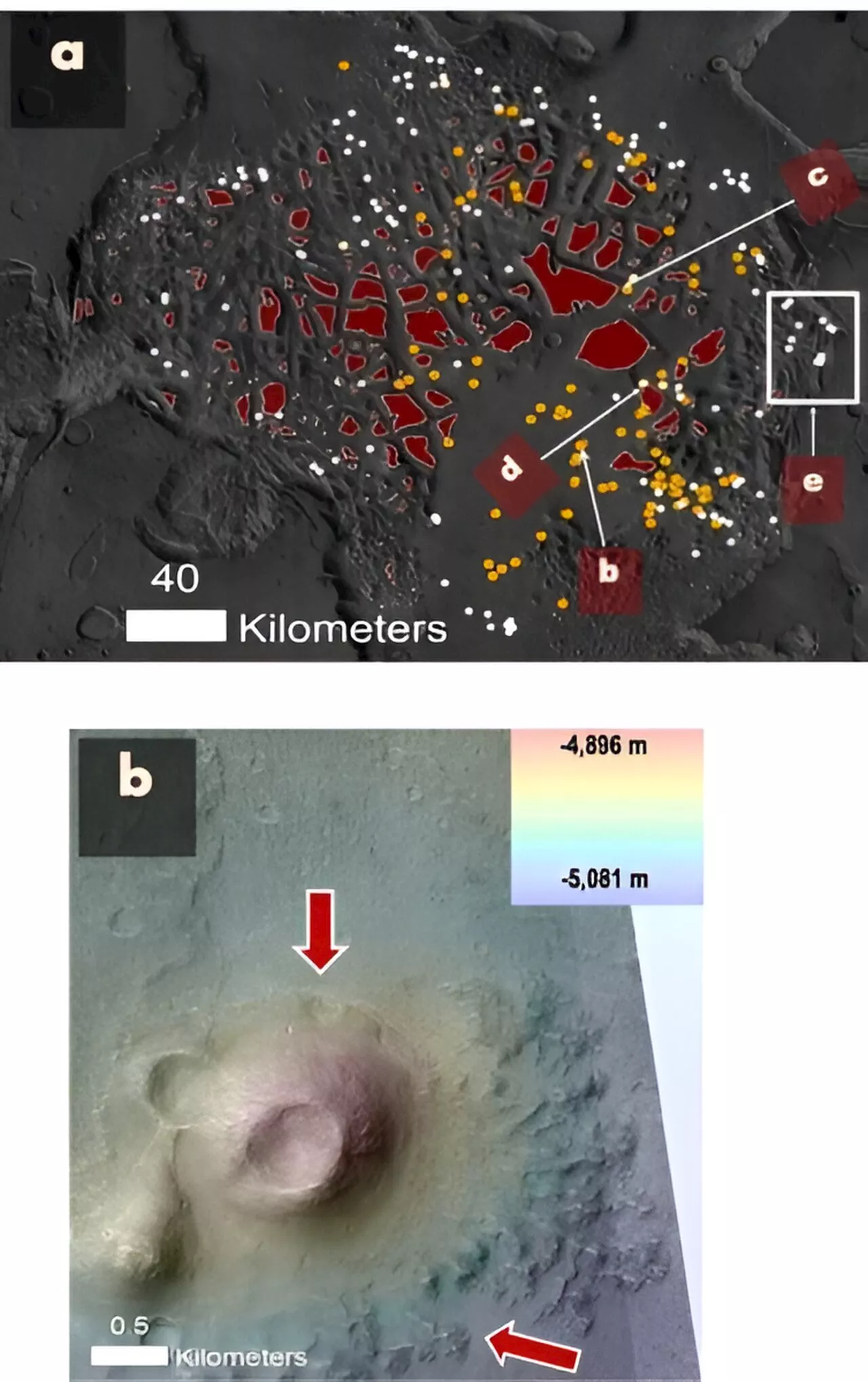 Searching for concentrated biosignatures in an ancient Mars mud lake