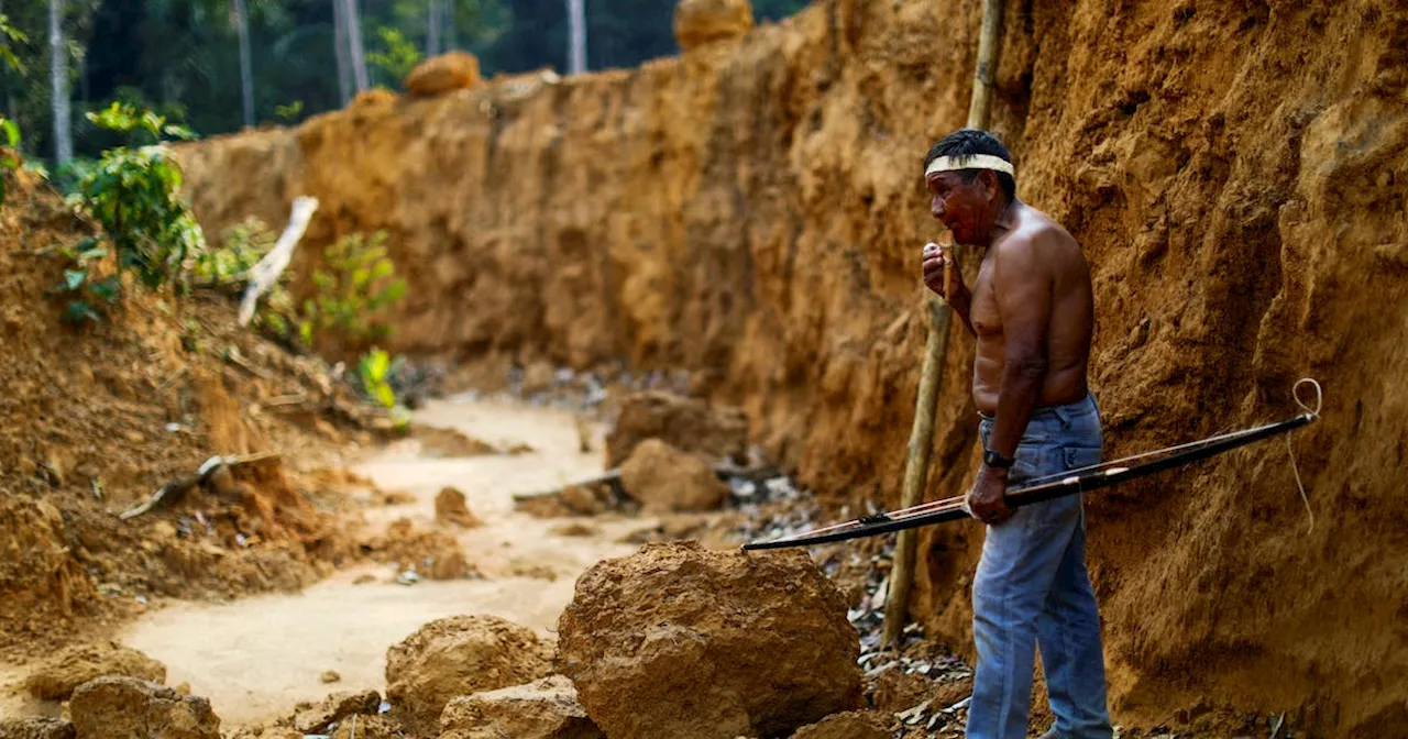 Brazil court overrules judge's suspension of potash mine in Amazon