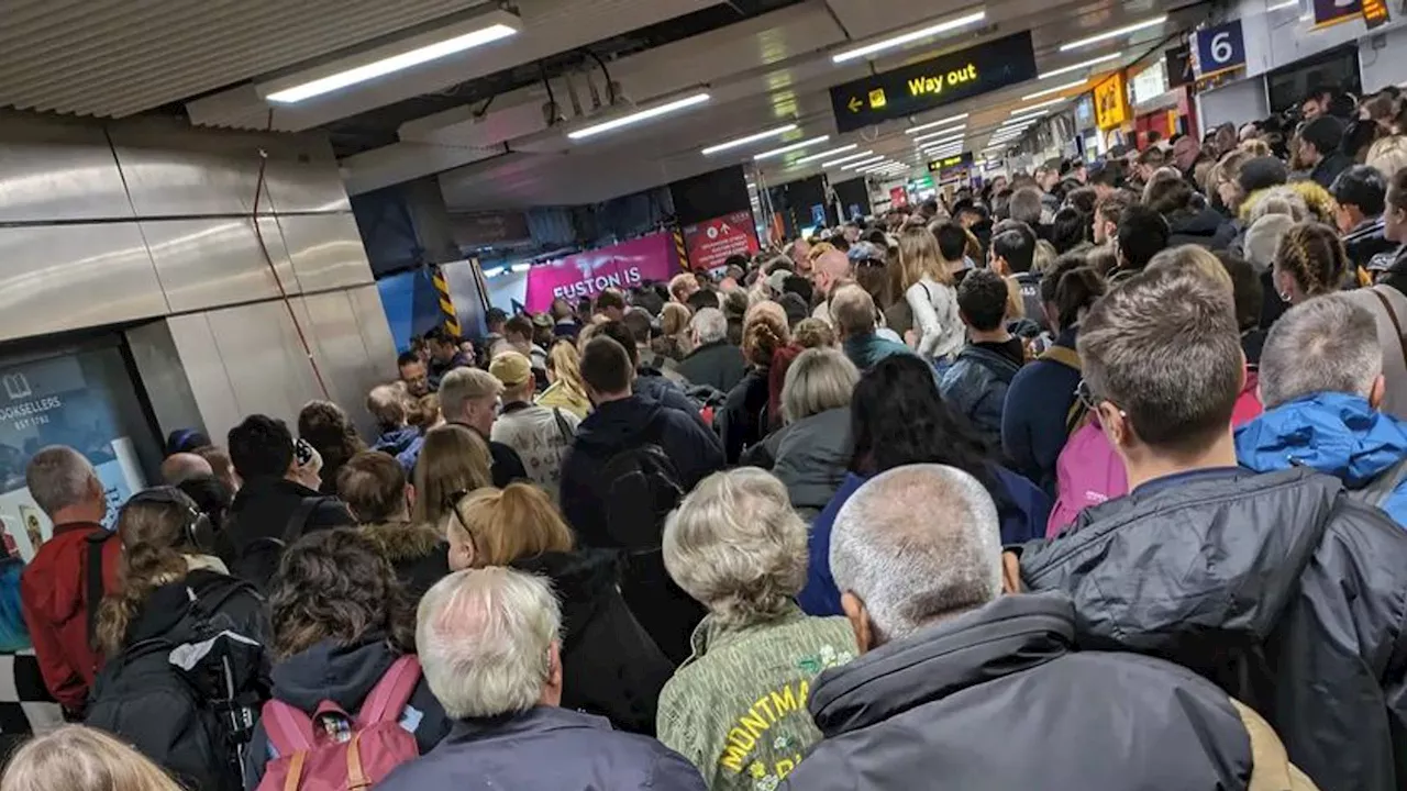 Network Rail failing to stop 'unacceptable' overcrowding at Euston train station, says rail regulator