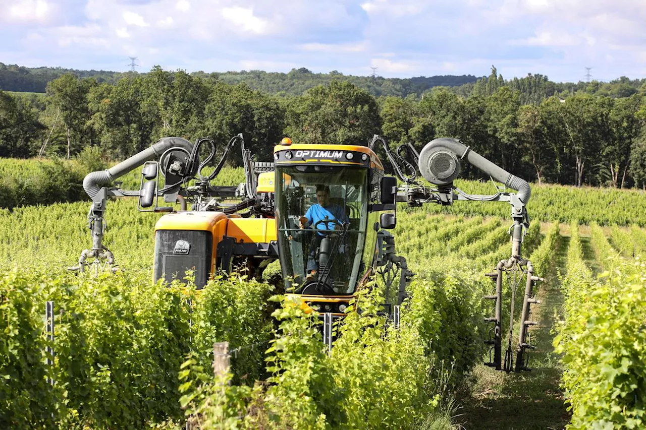 Nouvelle-Aquitaine : sur le front des pesticides, les pratiques des vignerons évoluent vers du « produire propre »