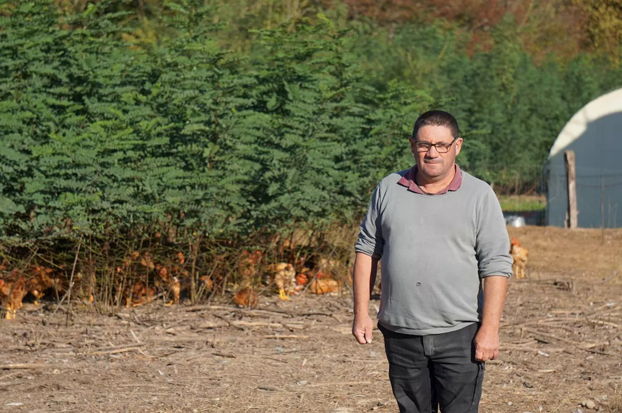 Sud-Gironde : agriculture et énergie solaire, deux projets innovants sortent de terre