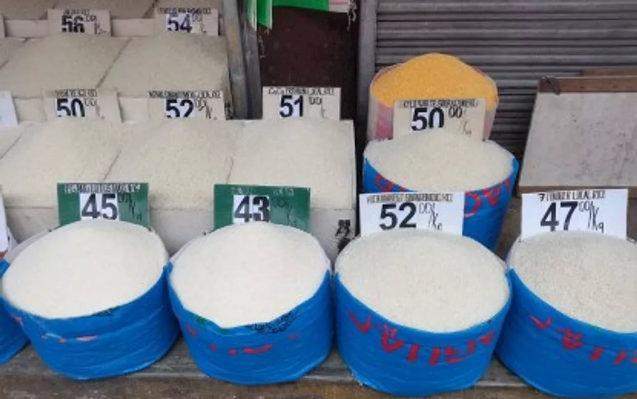 Lower rice prices in Negros Oriental seen as harvest season starts