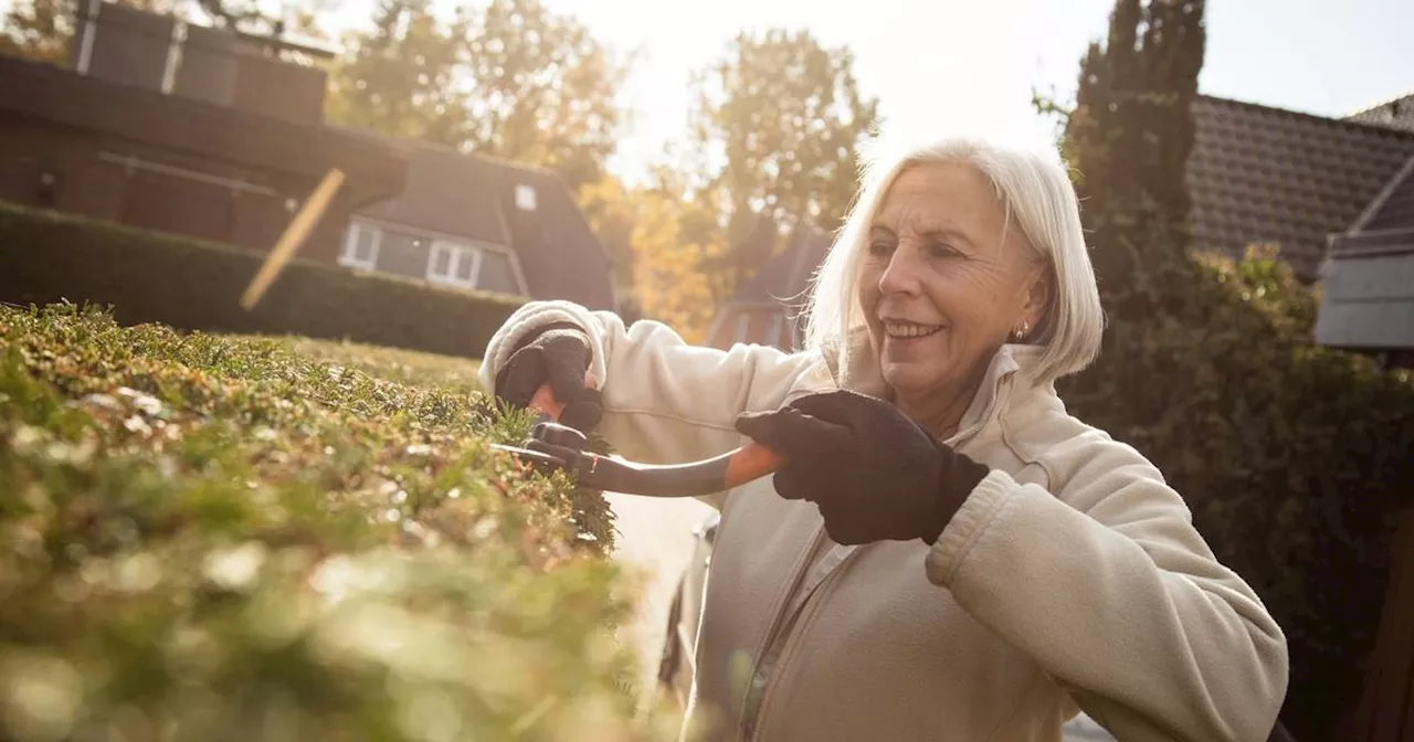 Kalte Jahreszeit: Das passende Outfit für die Gartenarbeit