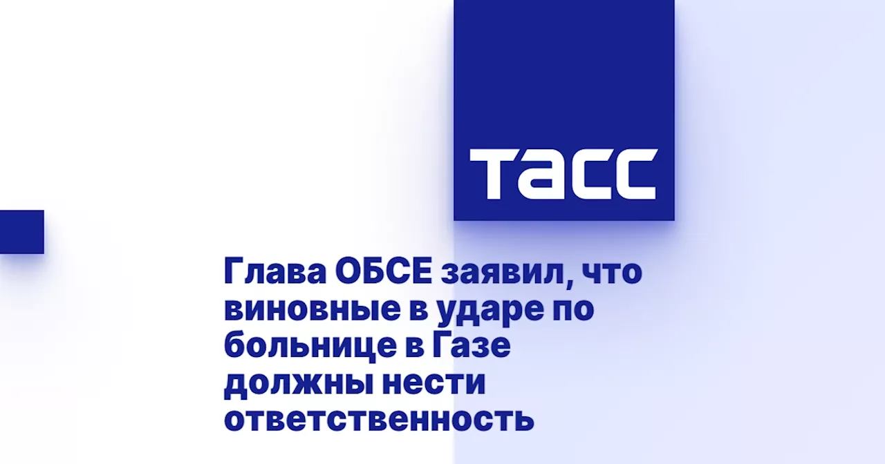 Глава ОБСЕ заявил, что виновные в ударе по больнице в Газе должны нести ответственность