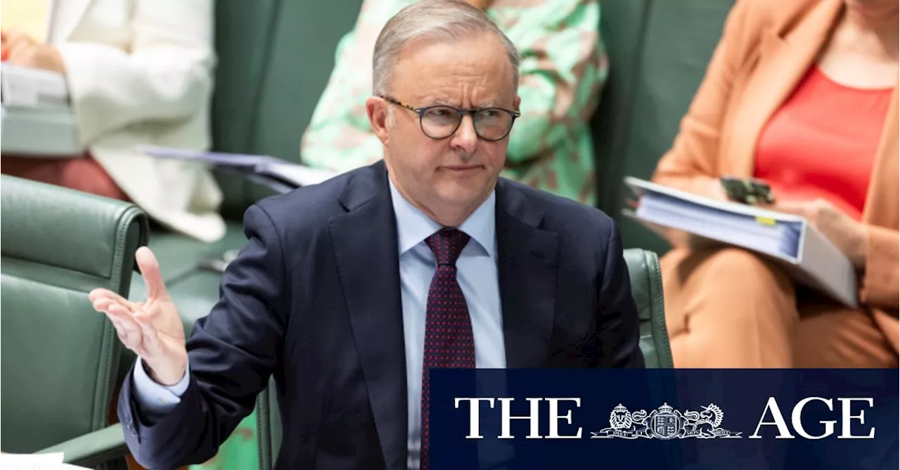 Albanese says he was never asked to delay Voice referendum as defeat loomed