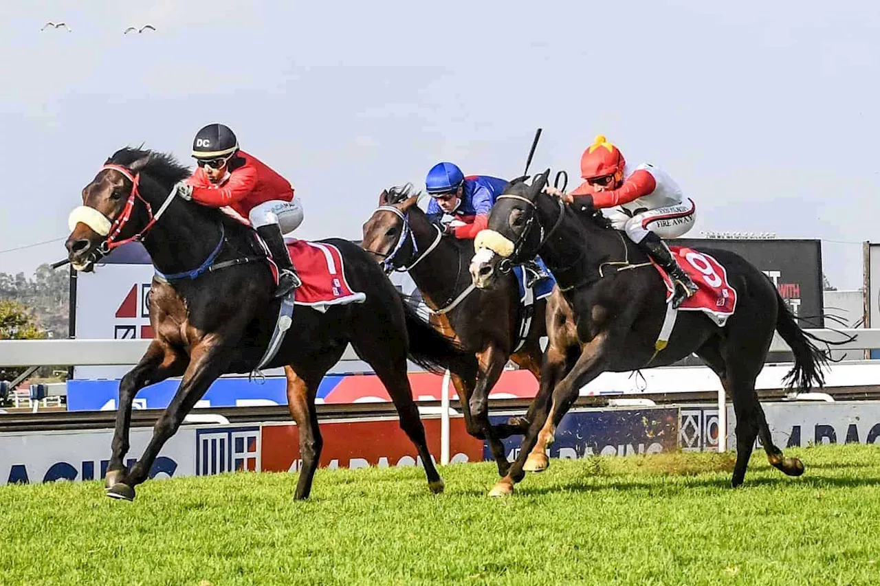 A Perilla win can’t be too far away after decent first run