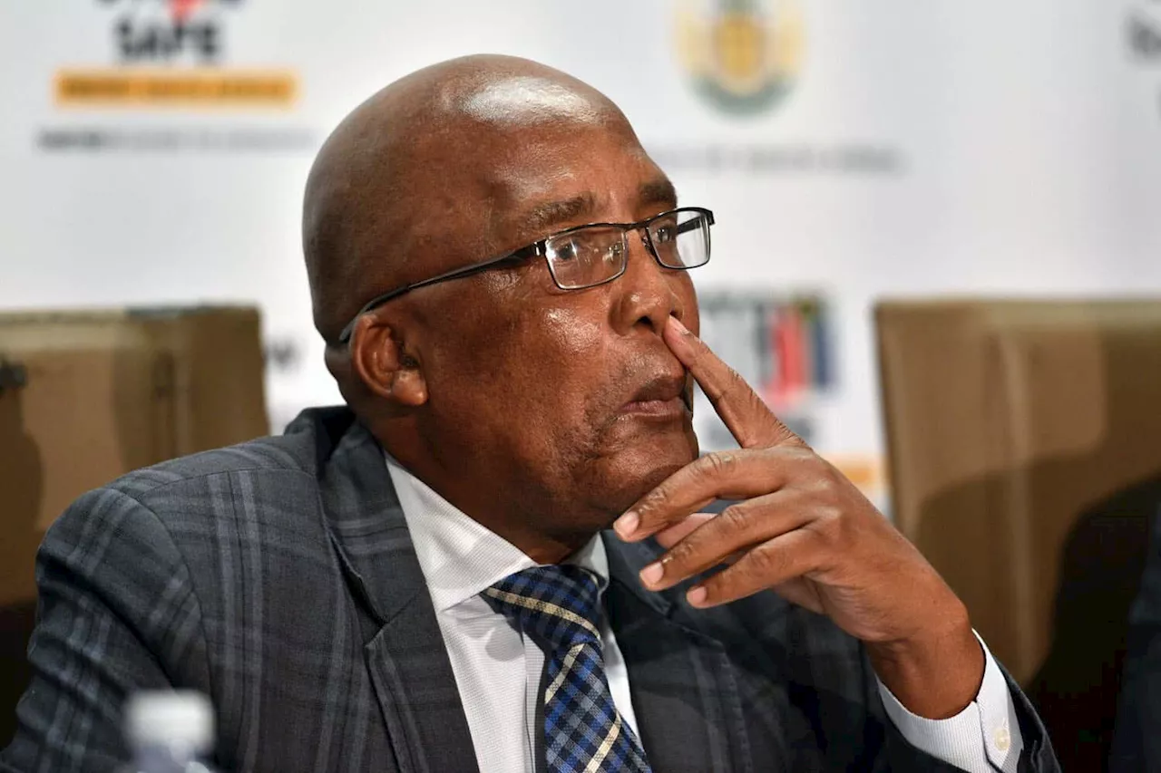 Motsoaledi to appeal ZEP Supreme Court judgment