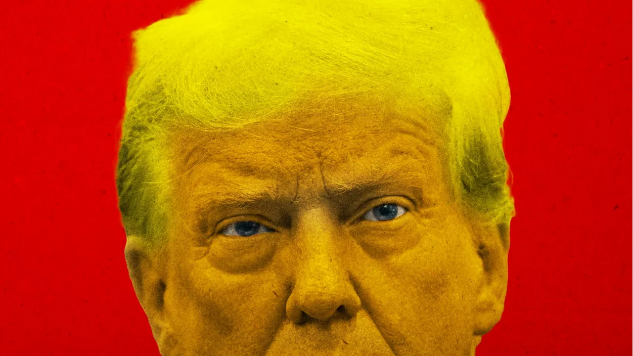 Trump Gets a Lesson in Civics With Latest Gag Order From Judge
