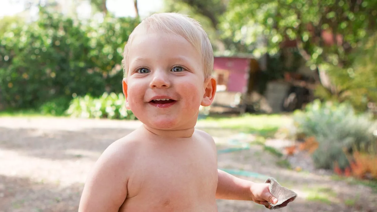 Parents Repeat Word ‘Gentle’ While Toddler Rips Dog’s Ear Clean Off