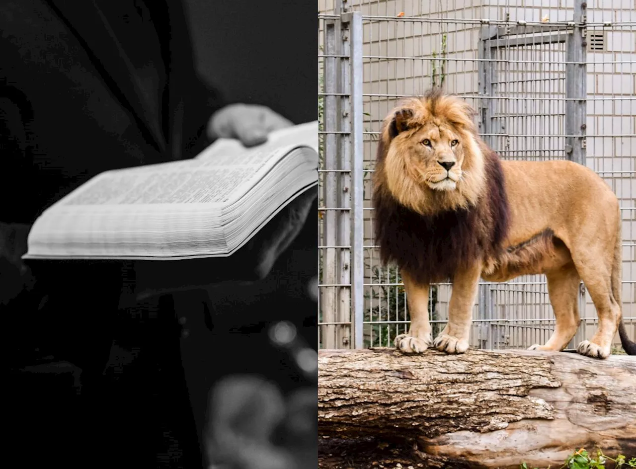 Weird News: Meet the pastor eaten by lions after invading their den by faith (Video)