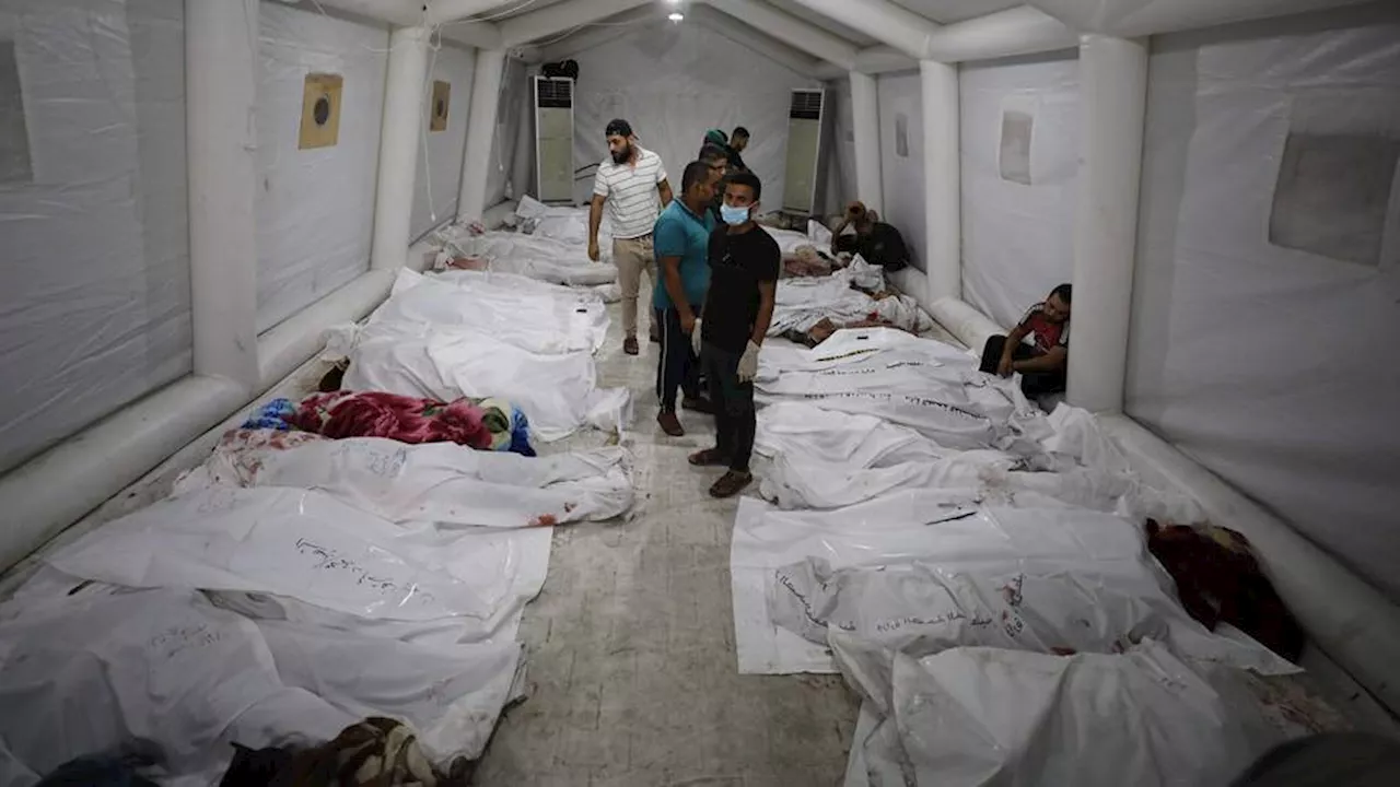 In besieged Gaza, hospitals were safe havens: Then Israel rained carnage