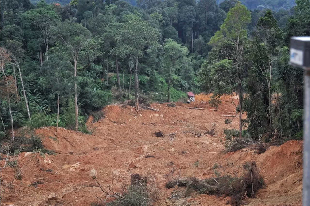 Tragedi Batang Kali: Syor akta tapak khemah, rekreasi dikuat kuasa