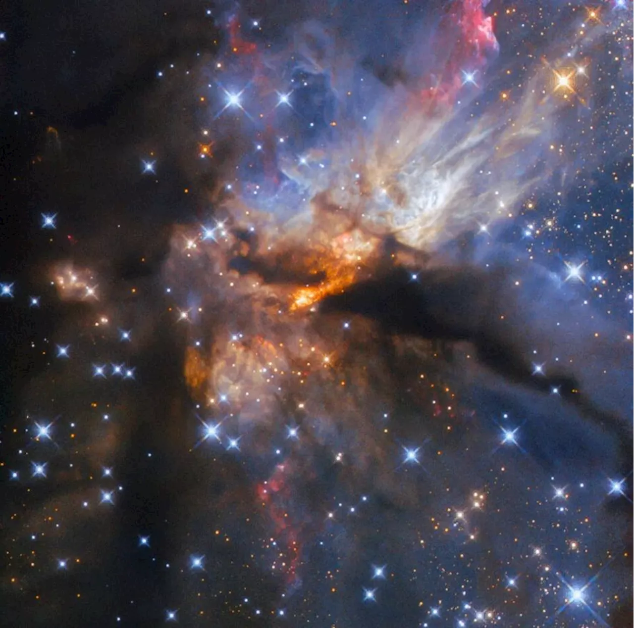 This Dark Nebula Hides an Enormous Star