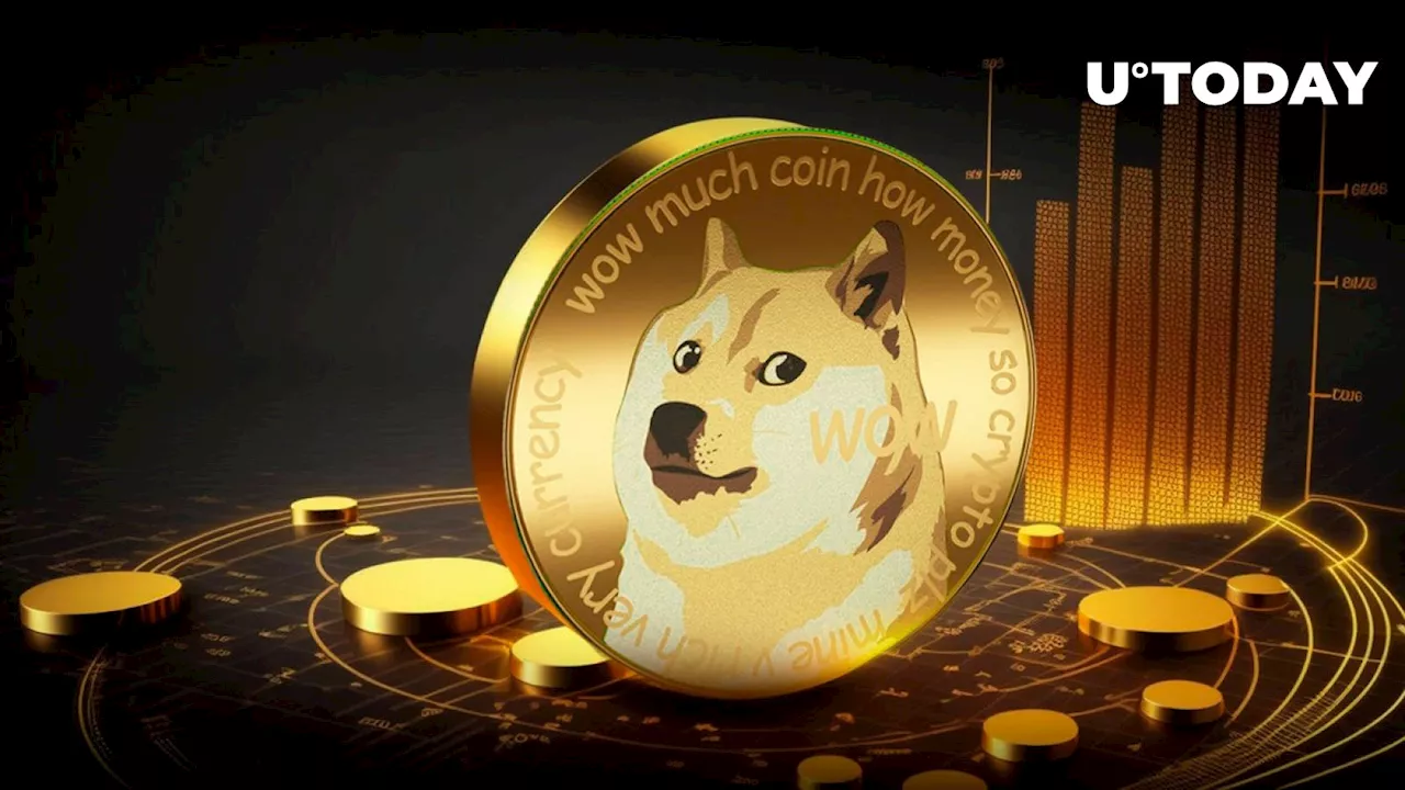 Dogecoin (DOGE) Outshines BTC, ADA and ETH in This Important Metric