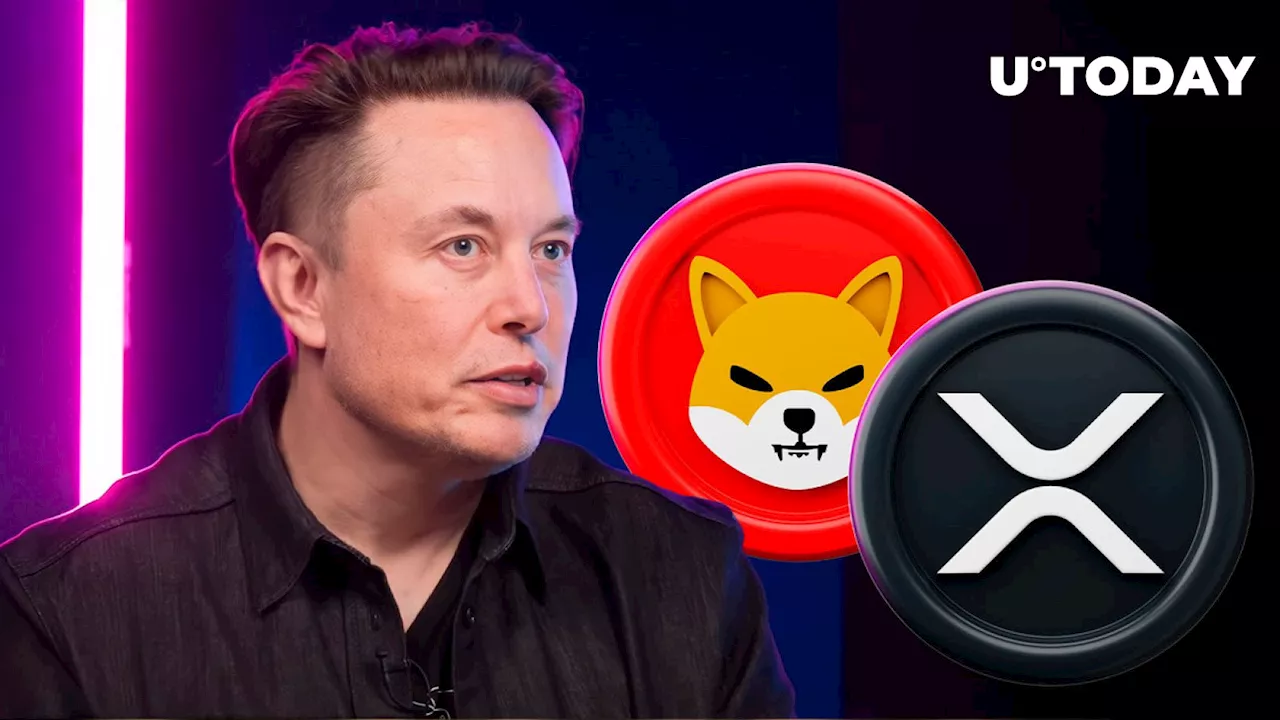 Elon Musk's New Cryptic Tweet Triggers Hot Response From XRP and SHIB Lovers