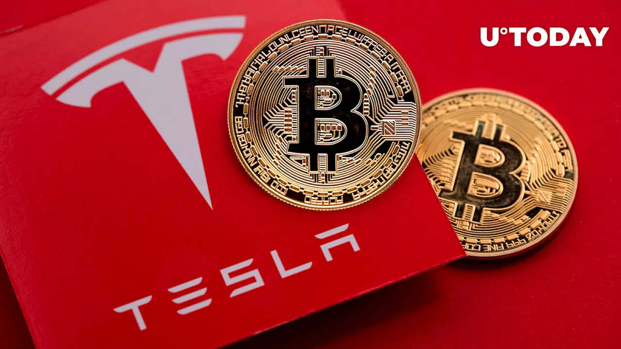 Elon Musk's Tesla to Unveil Its Bitcoin (BTC) Holdings Today