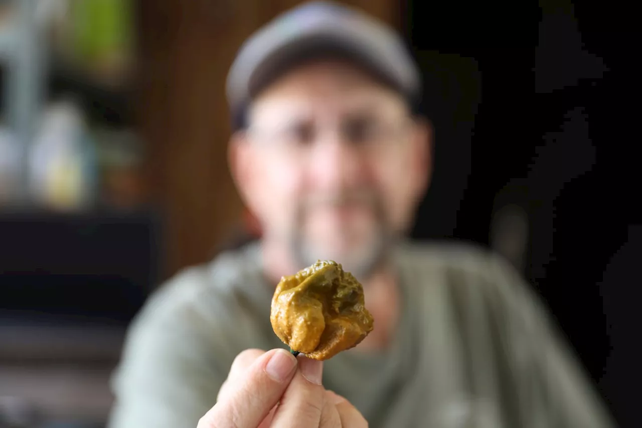 He held the world record for hottest pepper. Then his Pepper X dethroned it.