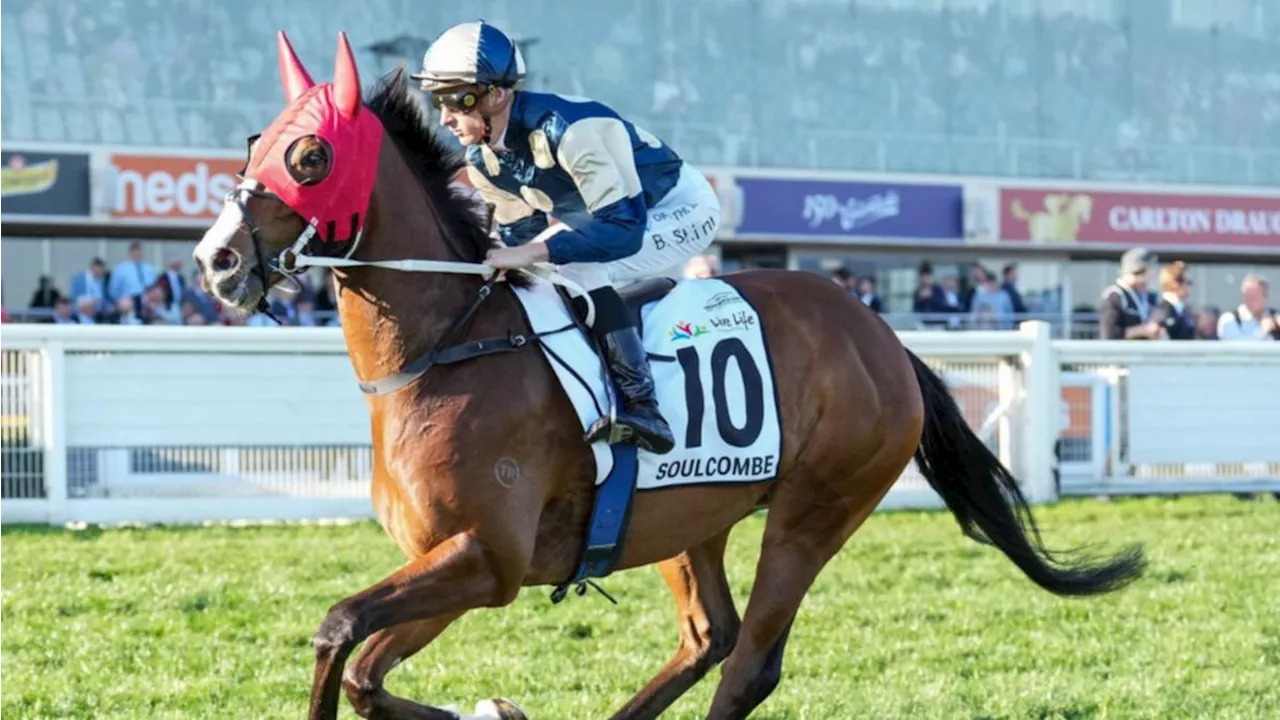 The best horse racing tips for the Caulfield Cup and a hot ‘roughie’