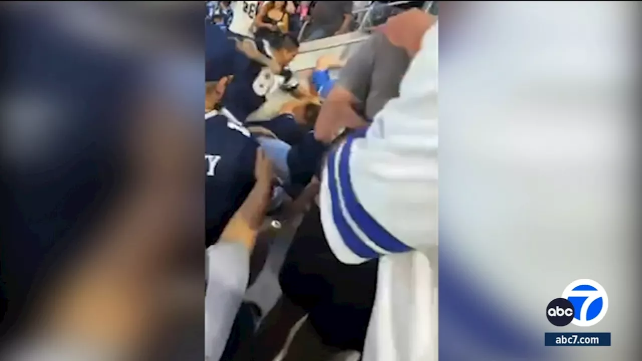 Caught on video: Police investigating scuffle at SoFi Stadium that left couple hospitalized