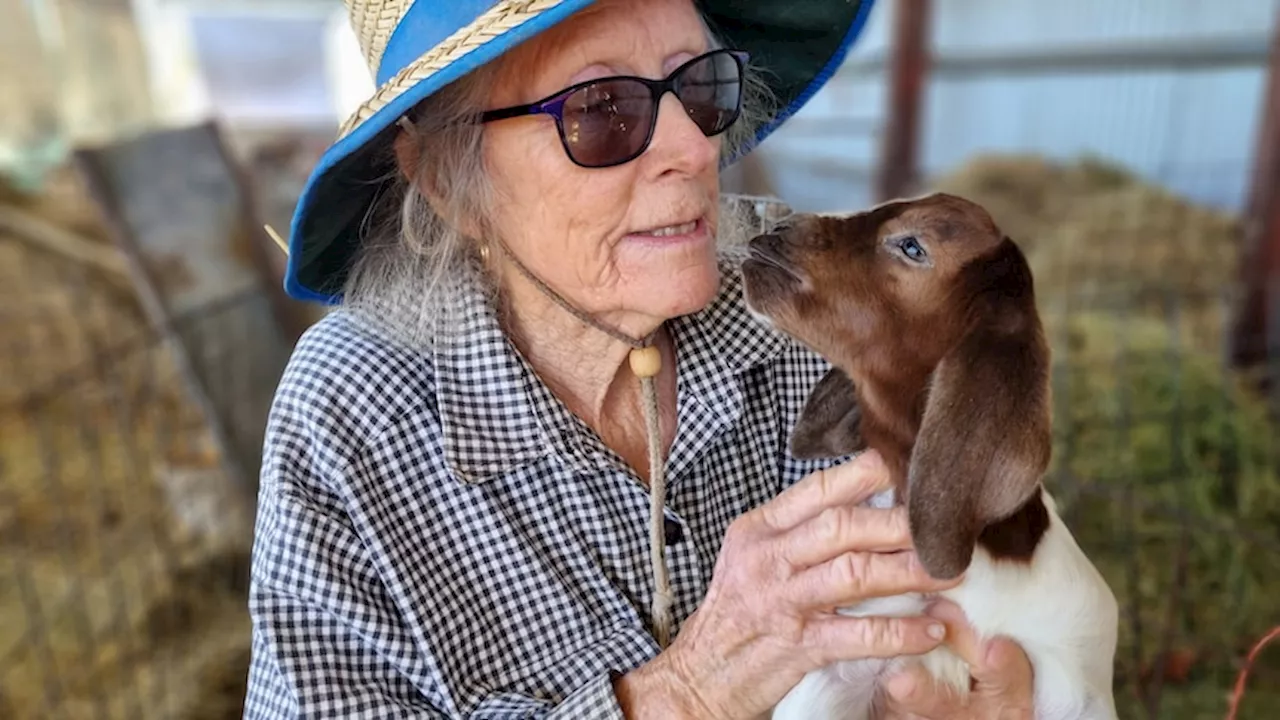 How wanting a little sister formed farmer Margaret Graham's lifelong love of goats