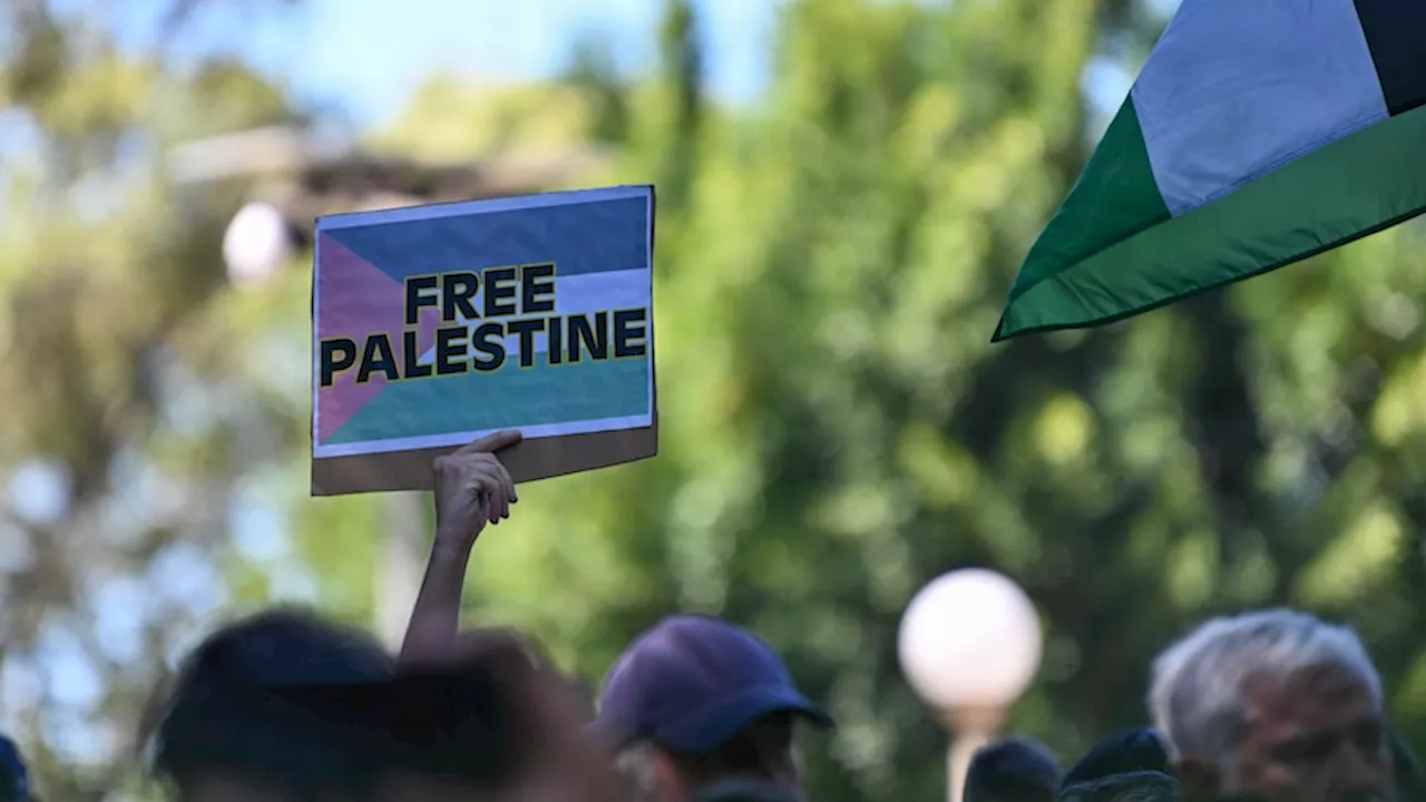 NSW politicians release open letter supporting Palestinian communities facing 'catastrophic crisis'