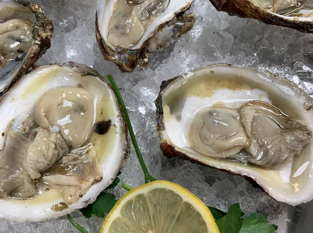 Atlanta woman slurps down 48 oysters, date leaves her with the bill