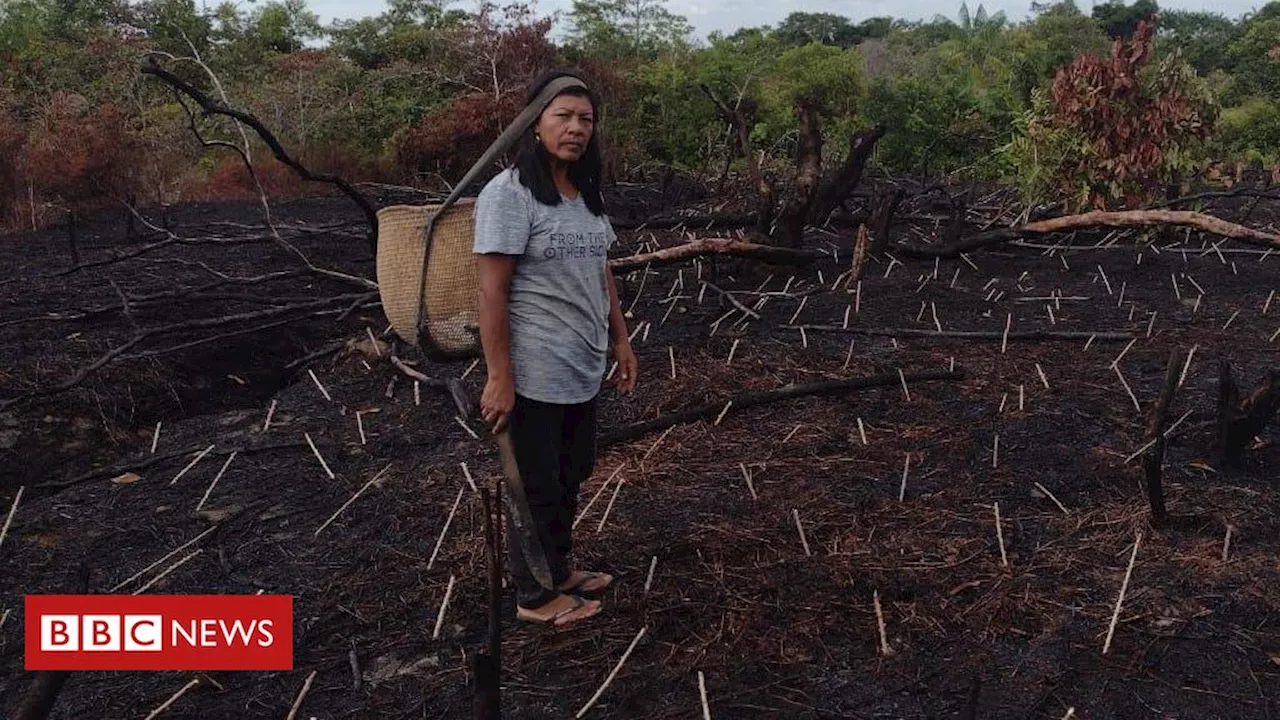 Seca na Amazônia: como calor e falta de chuva histórica afetam vida de mulheres indígenas