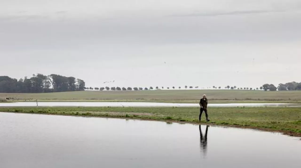 Frygtløs Brudgom Kommer Med Pikant Hentydning Til Bruden Men