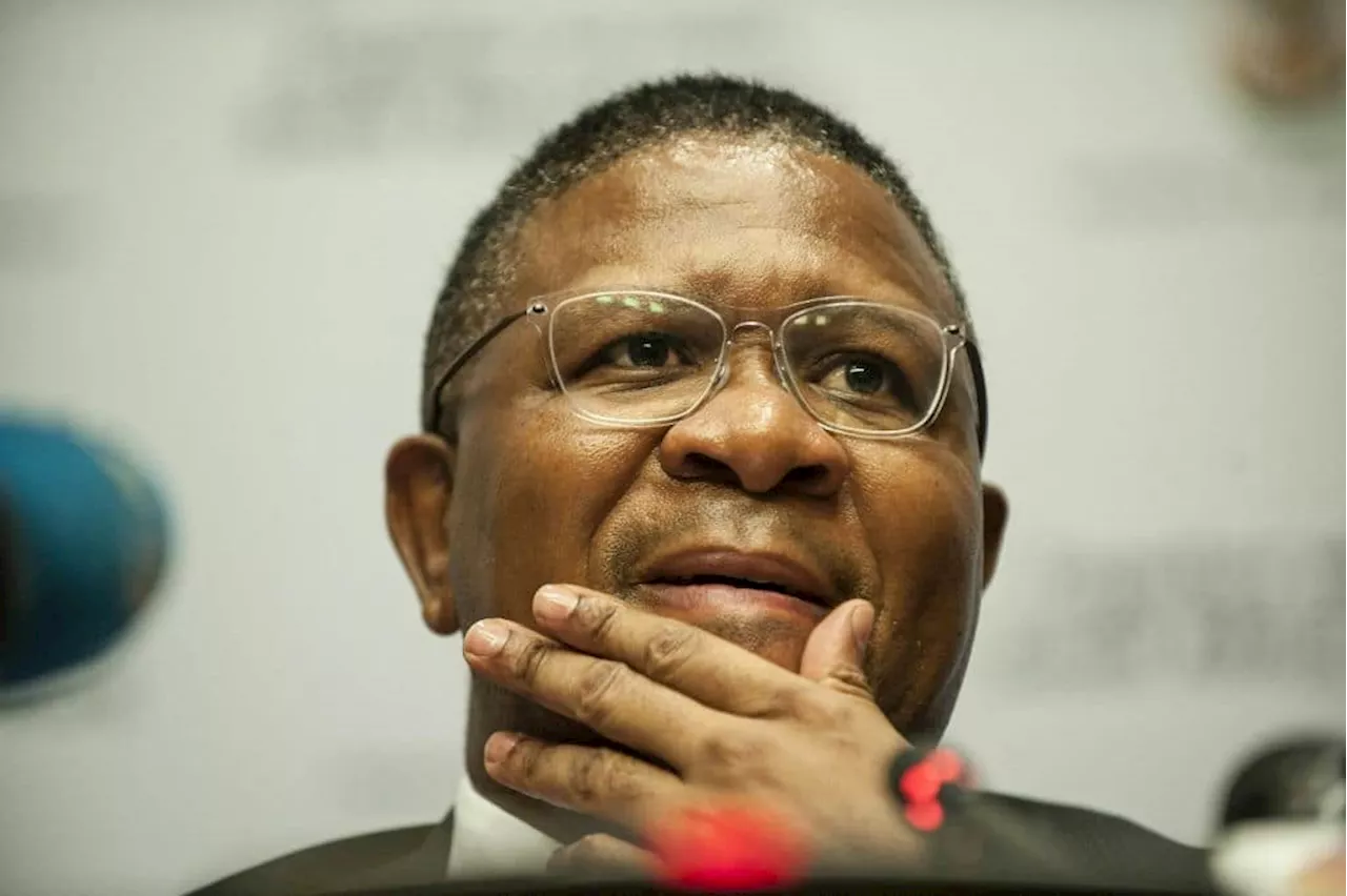 South Africans Dispute Fikile Mbalula's 'Better Life' Claims: 'Better Life Reserved for ANC Cadres'