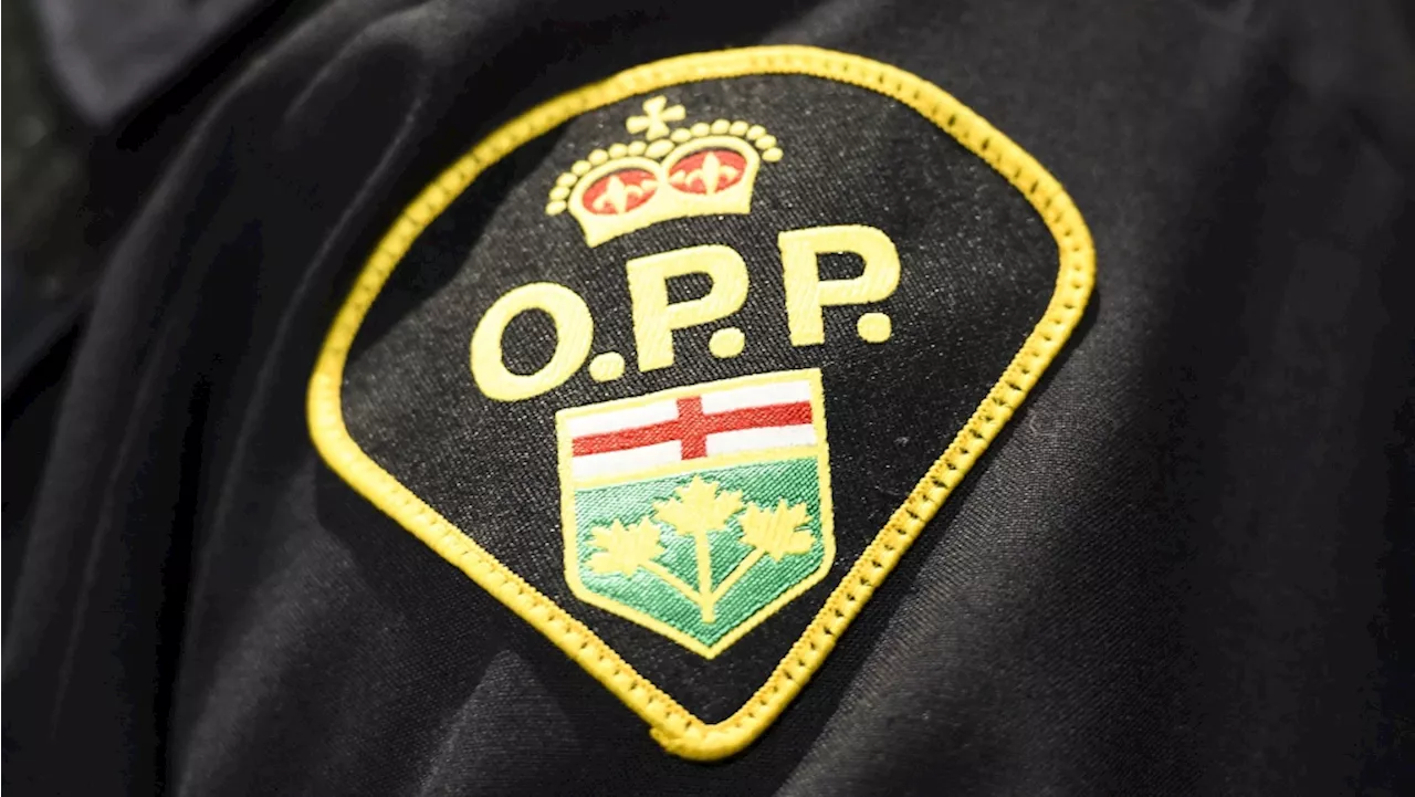 Newly announced Ontario carjacking task force arrests 3 GTA men, recovers 2 stolen vehicles