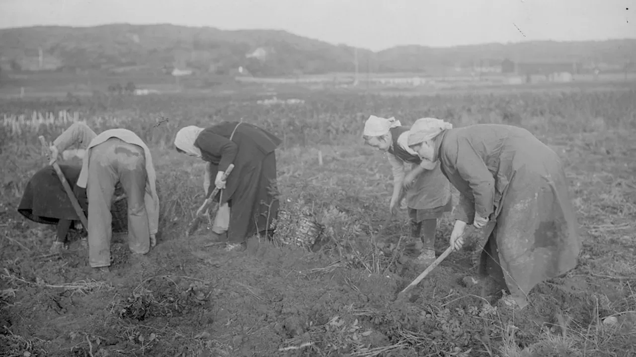 EU: För- Och Nackdelar Med Att Leva På 1800-talet