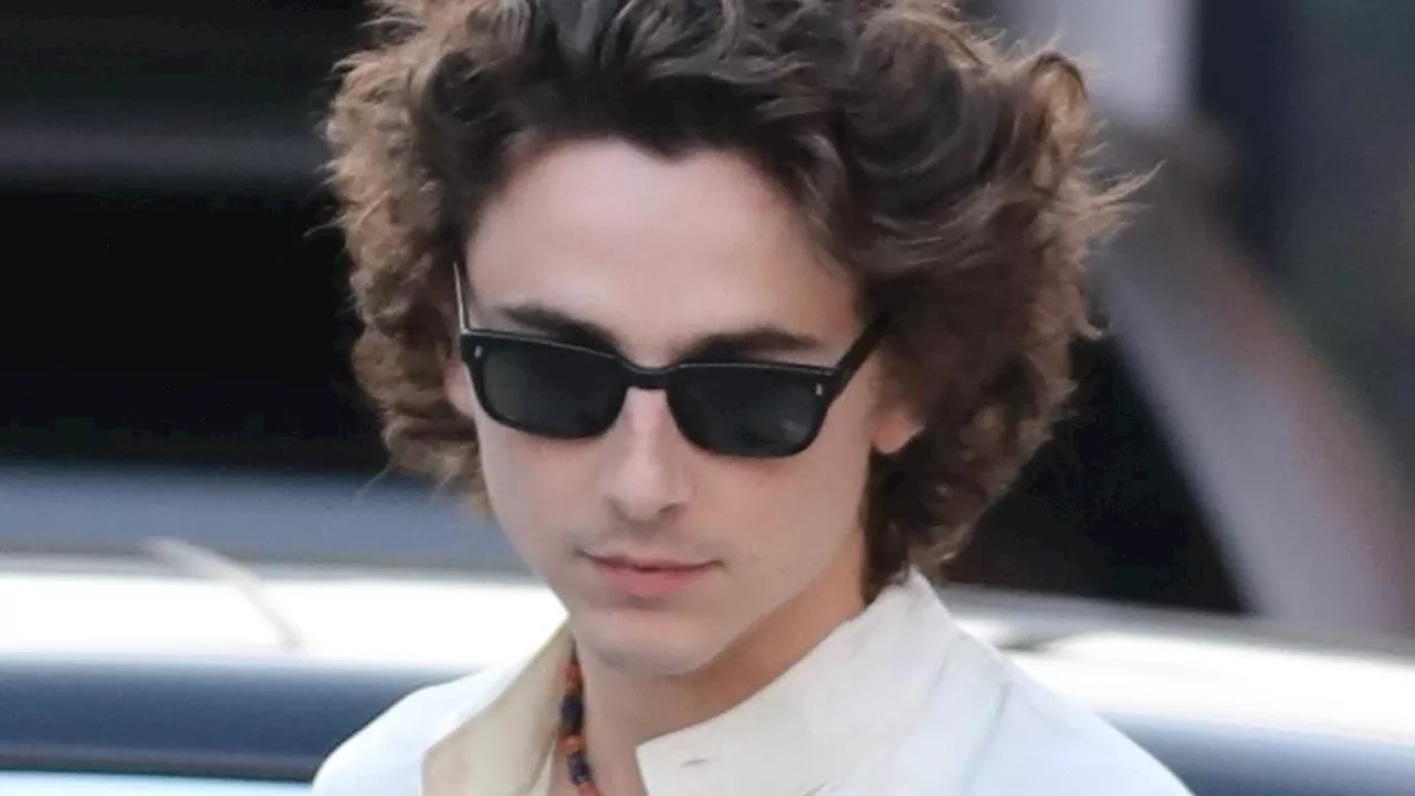 EXCLUSIVE: Timothee Chalamet channels Bob Dylan in satin shirt and leather slacks while carrying...