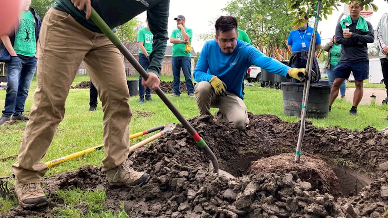 South Dallas will get 1,000 new trees thanks to $15M federal grant