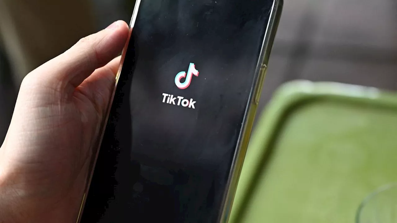 Falschinformationen zum Nahostkonflikt: EU-Kommission kündigt Verfahren gegen TikTok und Meta an