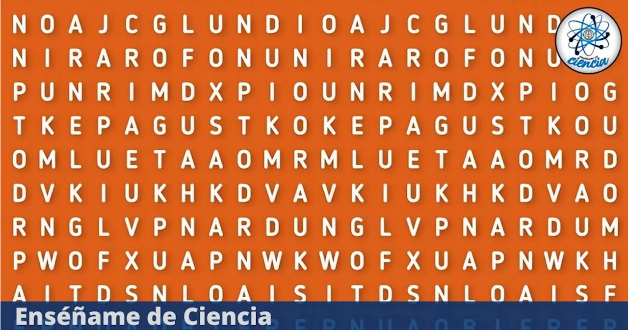 Acertijo visual DIFÍCIL: Casi nadie puede encontrar la palabra “INTERNET” en la sopa de letras