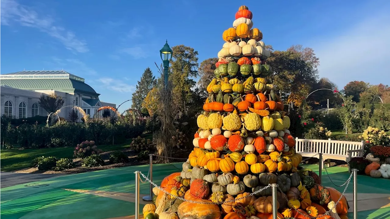 Pumpkin Palooza returns to Hershey Gardens