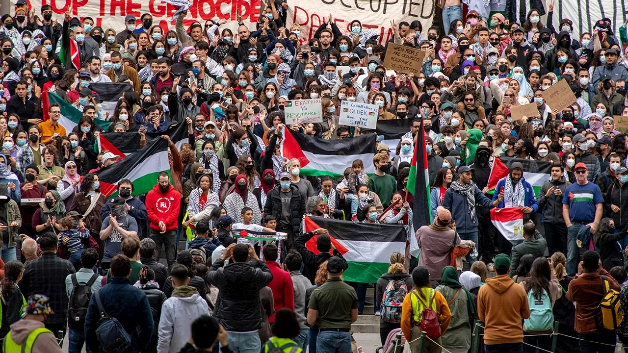 Hamas attacks and Harvard: University’s determination to go full woke leads to moral bankruptcy