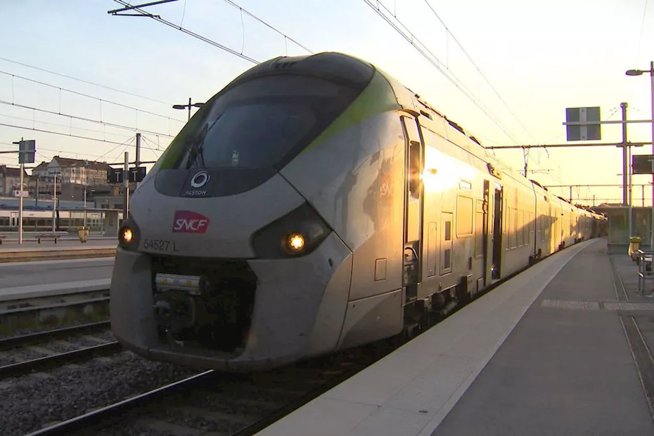 Ligne Paris-Dijon-Lyon : 48 nouveaux TER sur les rails