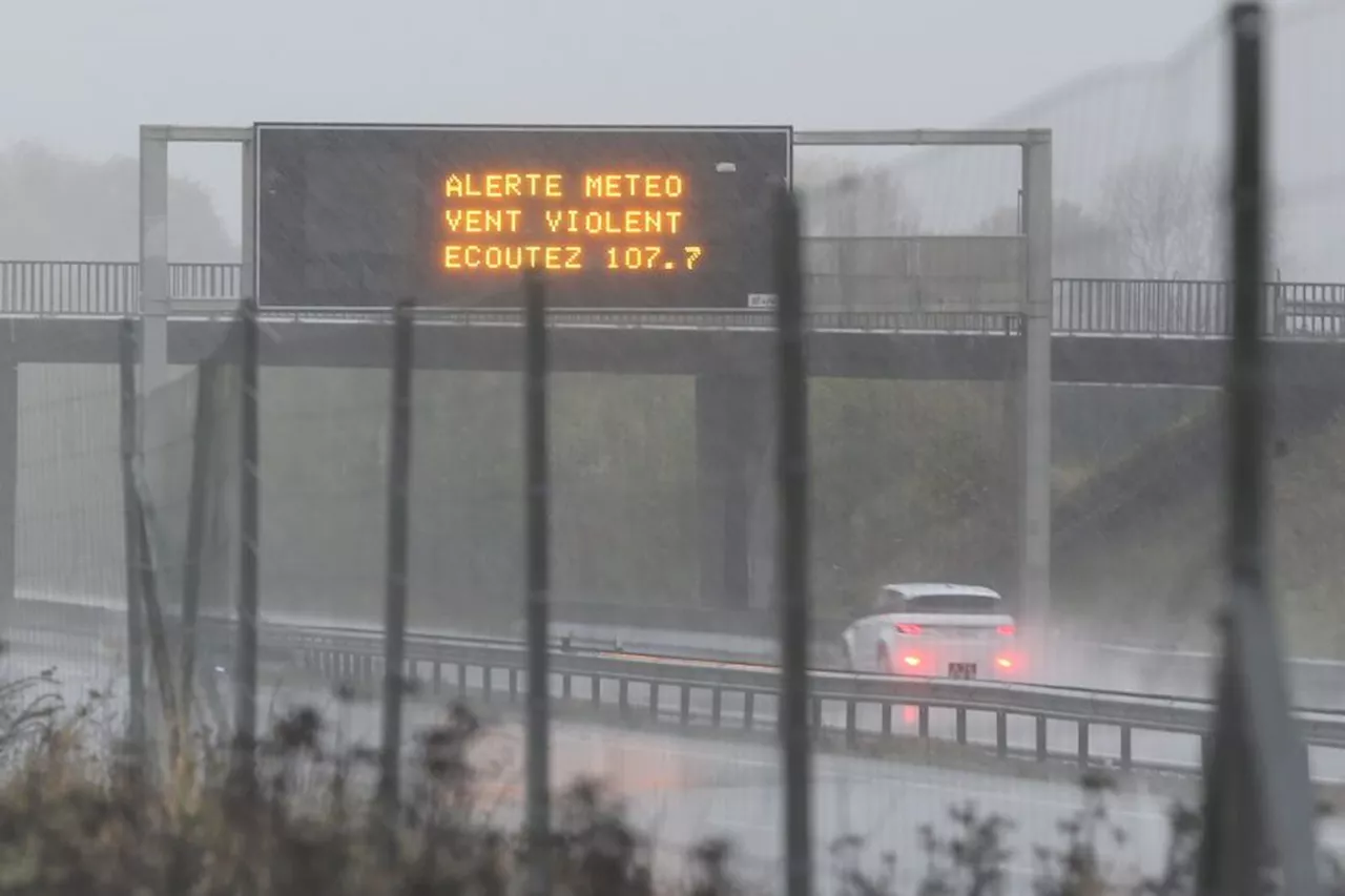 Tempête Aline : six départements d'Auvergne-Rhône-Alpes placés en vigilance orange aux vents violents