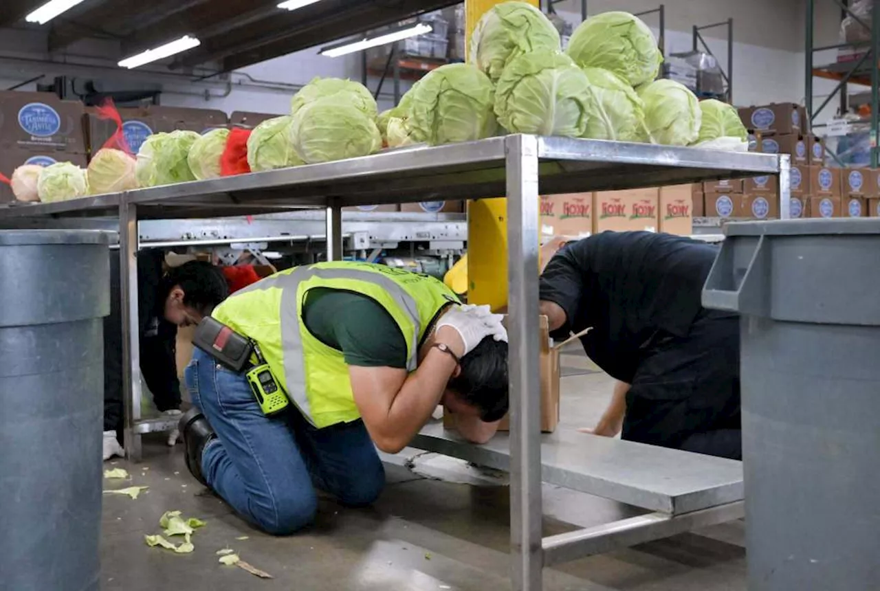 Millions stopped everything for a minute, to join the Great California Shakeout