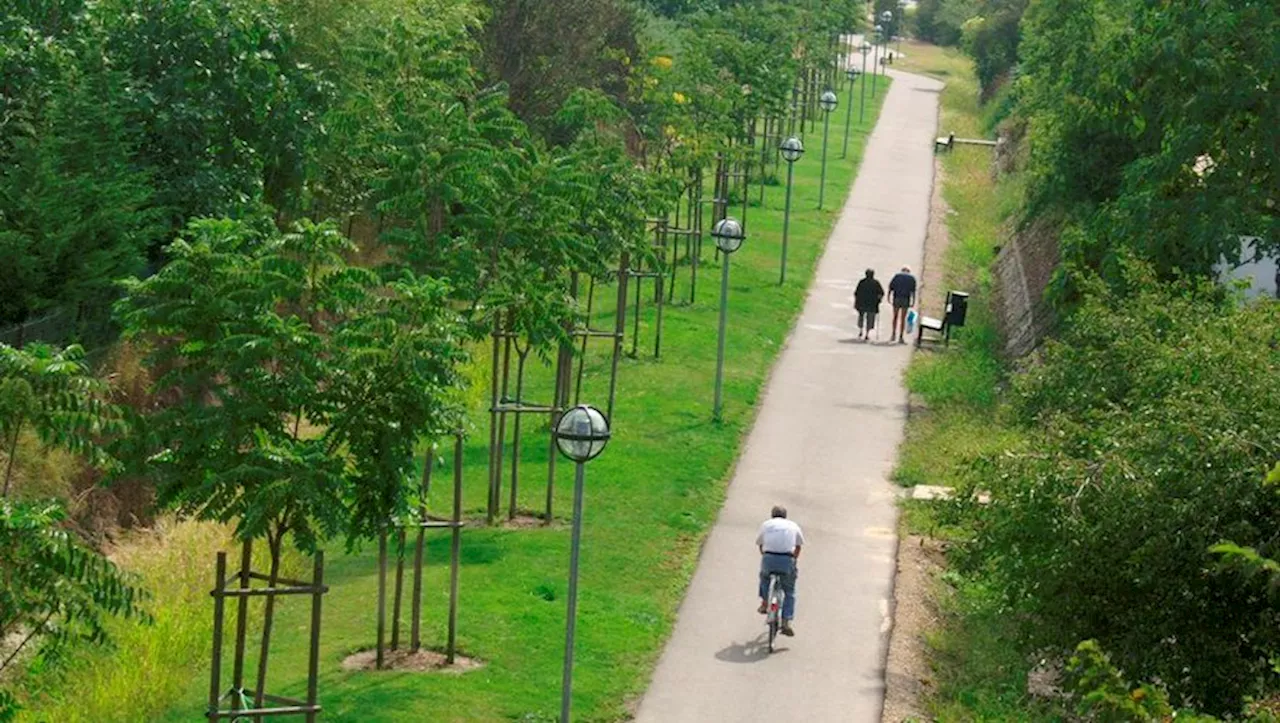 Interdit de séjour, il roule à scooter sans casque et sans gants sur une piste cyclable