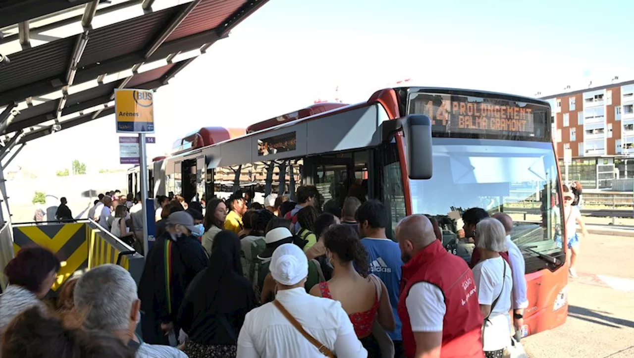 Financement des transports : les élus de Toulouse Métropole pour une hausse de l'impôt des entreprises