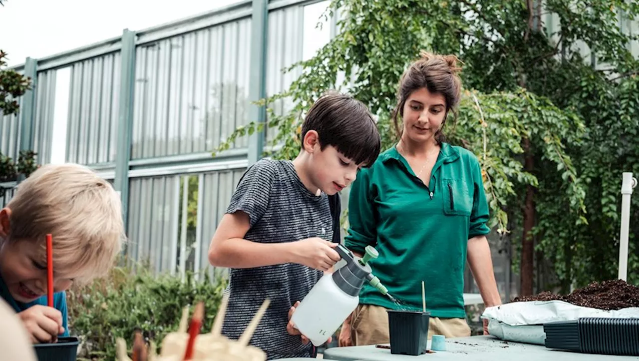 Toulouse : bons plants à la médiathèque Grand M avec les semis d'automne