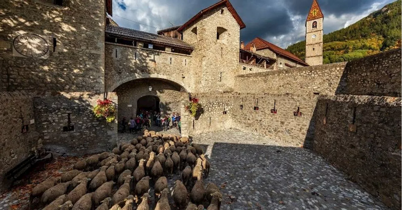 Colmars-les-Alpes : la fête pour la transhumance fait son grand retour les 21 et 22 octobre