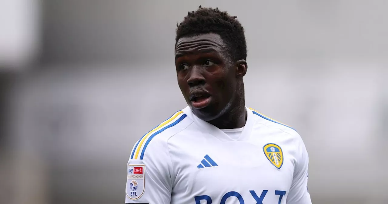 Daniel Farke's positive Leeds United injury update with Wilfried Gnonto boost