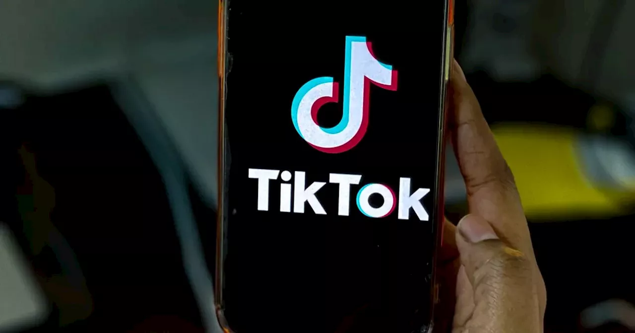 'Lonely' paedophile used his friend's name to set up TikTok account