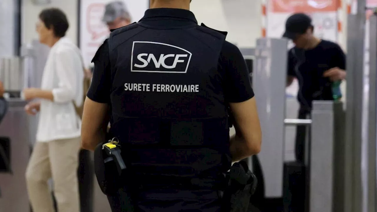 Paris : un individu tente de dérober l’arme d’un policier à la gare de Lyon