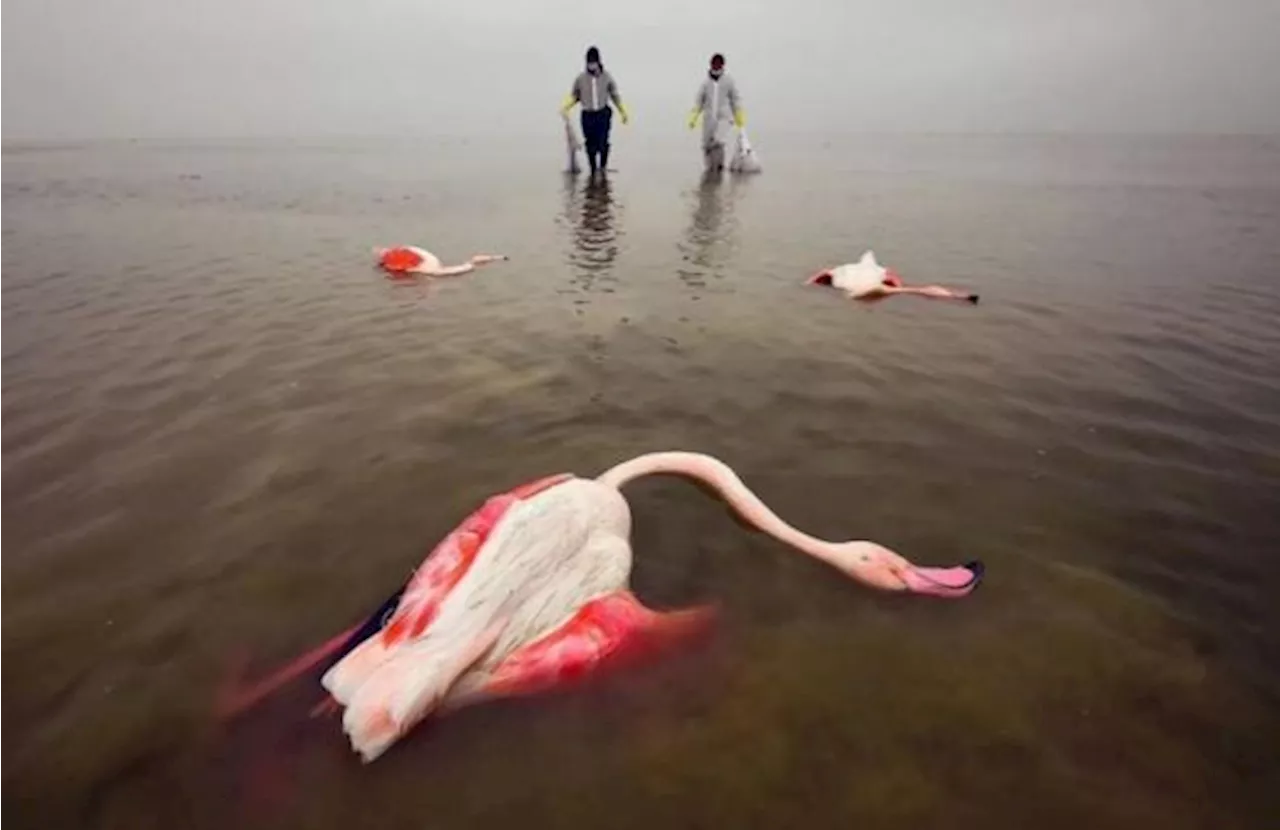 111 Foto dari 28 Negara Dipamerkan di Pameran Fotografi Changing Asia